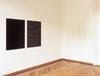 Douglas Allsop, exhibition view: façade, 2009, Galerie Kim Behm Frankfurt
