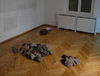 Ráðhildur Ingadóttir - Layers, installation view, 2010, Galerie Kim Behm Frankfurt
