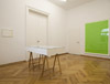 exhibition view: Levent Kunt, 2012, Galerie Kim Behm Frankfurt, Photo: Markus Winkler